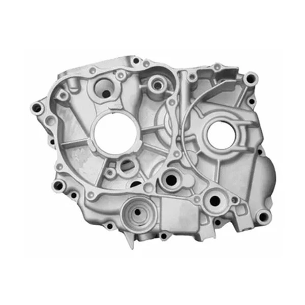 Magnesium alloy die casting(1)
